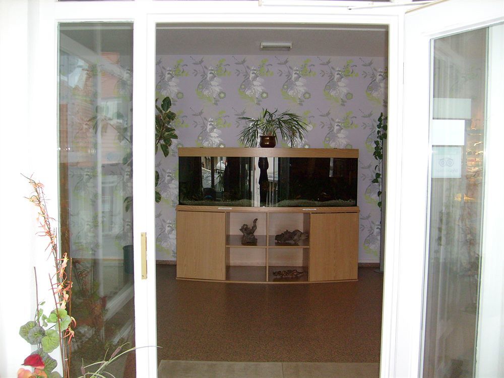 Villa Auszeit Hotel Garni Херингсдорф Экстерьер фото